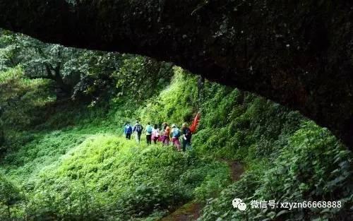 圆周率舞曲