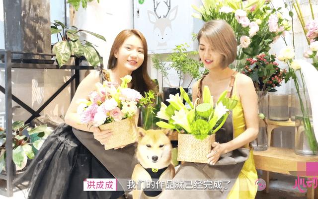 画线进球3无敌版